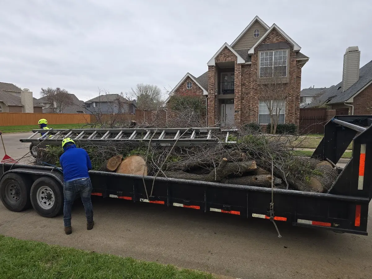 Expert Lot Clearing with proper safety equipment in Denbo